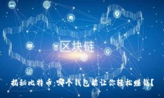 揭秘比特币：哪个钱包能