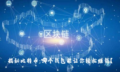 揭秘比特币：哪个钱包能让你轻松赚钱？