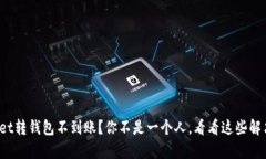 tpwallet转钱包不到账？你不