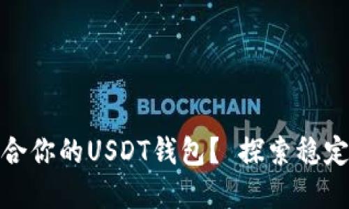 如何选择最适合你的USDT钱包？ 探索稳定币的安全之道