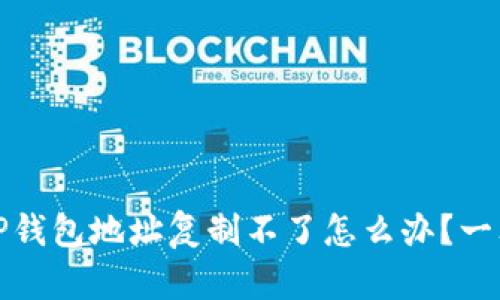 无论何时何地，TP钱包地址复制不了怎么办？一文解开您的疑惑！