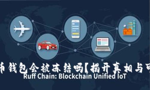 比特币钱包会被冻结吗？揭开真相与可能性