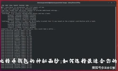 揭开比特币钱包的神秘面纱：如何选择最适合你的钱包？