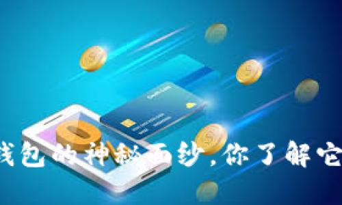 揭开比特币沉默钱包的神秘面纱，你了解它的价值与风险吗？