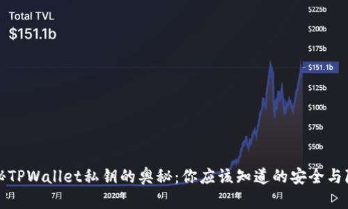 揭秘TPWallet私钥的奥秘：你应该知道的安全与隐私