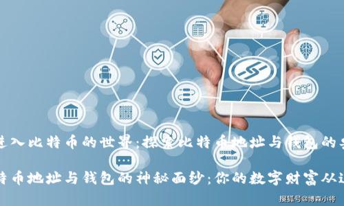 引导你进入比特币的世界：探索比特币地址与钱包的奥秘

揭开比特币地址与钱包的神秘面纱：你的数字财富从这里启程