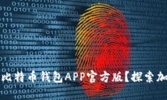 如何安全下载比特币钱包