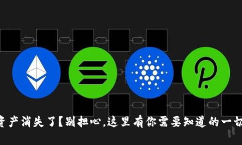 TPWallet资产消失了？别担心，这里有你需要知道的一切解决方案！