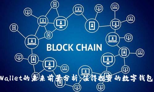 TPWallet的未来前景分析：值得投资的数字钱包吗？