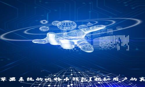 如何选择适合苹果系统的比特币钱包？揭秘用户的真实体验与建议