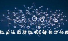 TPWallet升级后还能降级吗？