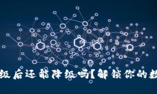 TPWallet升级后还能降级吗？解锁你的数字资产之旅