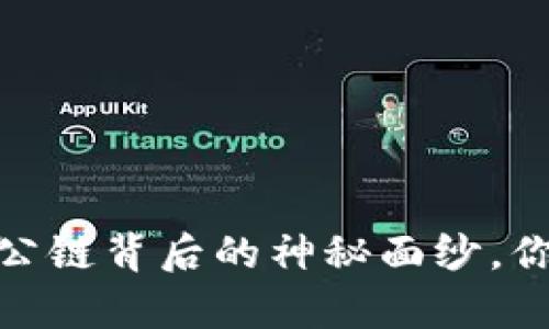 比特币钱包：公链背后的神秘面纱，你真的了解吗？