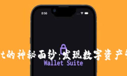 揭开TPWallet的神秘面纱：发现数字资产管理的新天地