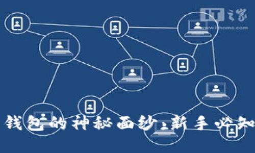 揭开比特币钱包的神秘面纱：新手必知的入口指南