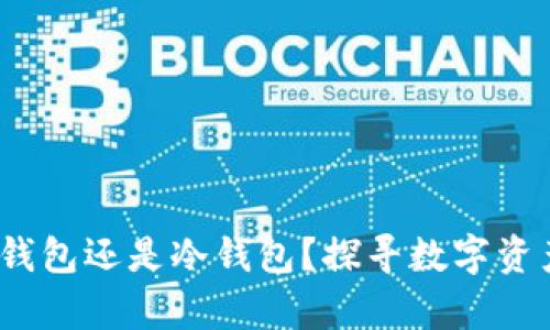 TPWallet：热钱包还是冷钱包？探寻数字资产安全的奥秘