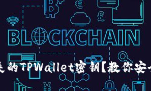 如何找回丢失的TPWallet密钥？教你安全登录的方法