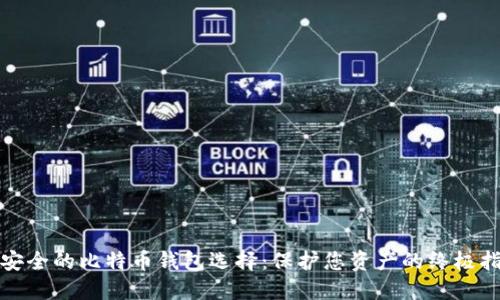 最安全的比特币钱包选择：保护您资产的终极指南