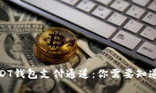 揭秘USDT钱包支付通道：你需要知道的一切
