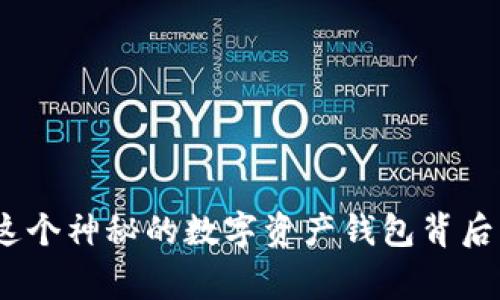 TPWallet：这个神秘的数字资产钱包背后的国家之谜