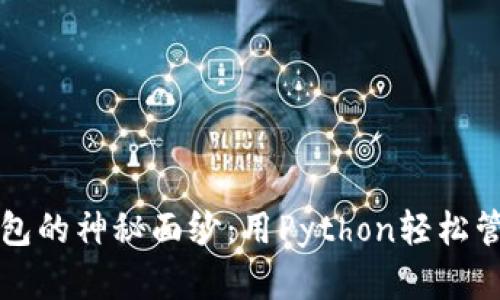 揭开比特币轻钱包的神秘面纱：用Python轻松管理您的数字资产