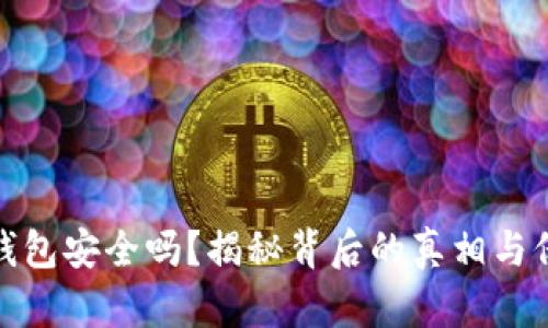 比特币钱包安全吗？揭秘背后的真相与保护措施