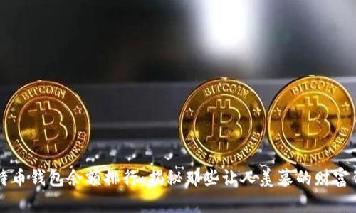 比特币钱包余额排行：揭秘那些让人羡慕的财富背后