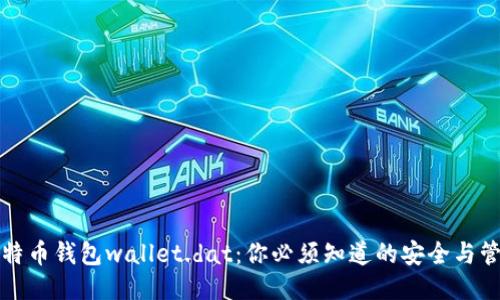 揭秘比特币钱包wallet.dat：你必须知道的安全与管理技巧