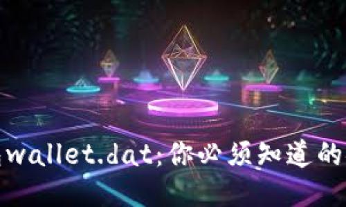 揭秘比特币钱包wallet.dat：你必须知道的安全与管理技巧