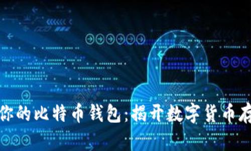 如何选择适合你的比特币钱包：揭开数字货币存储的神秘面纱