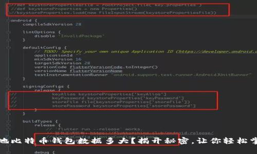 本地比特币钱包数据多大？揭开秘密，让你轻松掌握