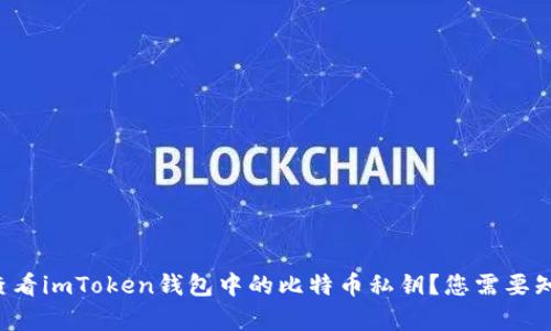 如何轻松查看imToken钱包中的比特币私钥？您需要知道的真相！