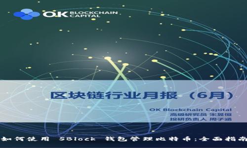 如何使用 SBlock 钱包管理比特币：全面指南