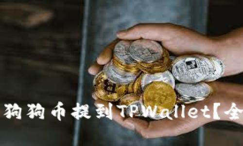 如何将狗狗币提到TPWallet？全面指南