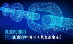 美国USDT用什么钱包最安全