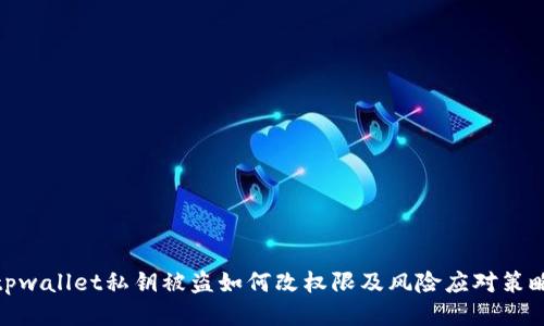 tpwallet私钥被盗如何改权限及风险应对策略