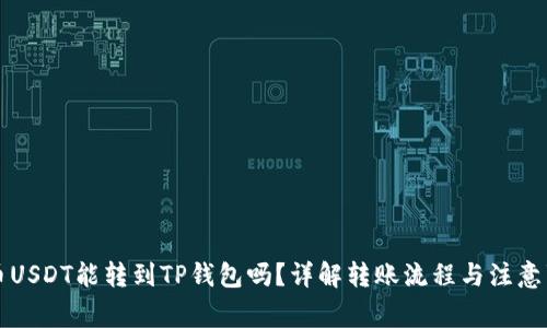 中币USDT能转到TP钱包吗？详解转账流程与注意事项