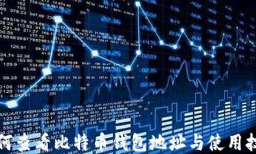 
如何查看比特币钱包地址与使用技巧