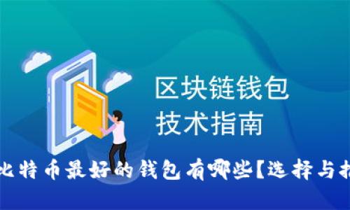 存比特币最好的钱包有哪些？选择与推荐