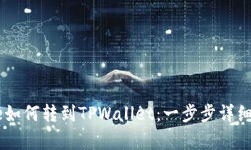 Doge如何转到TPWallet：一步步详细指南