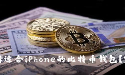 如何选择适合iPhone的比特币钱包？完全指南