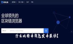 什么比特币钱包发币最快