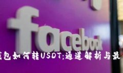 : 冷钱包如何转USDT：通道