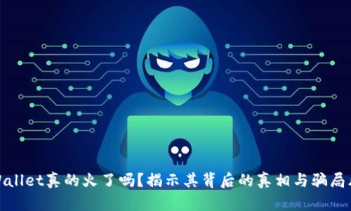 TPWallet真的火了吗？揭示其背后的真相与骗局风险