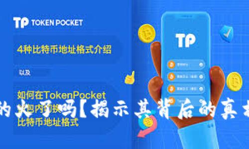 TPWallet真的火了吗？揭示其背后的真相与骗局风险