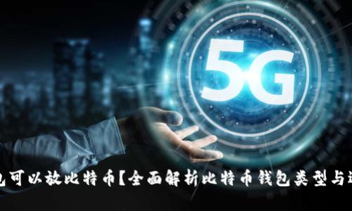 什么钱包可以放比特币？全面解析比特币钱包类型与选择指南