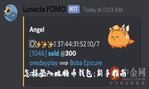 怎样登入比特币钱包：新手指南