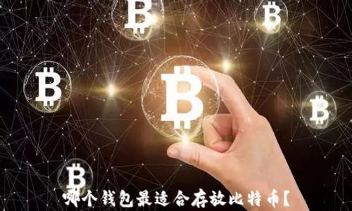 
哪个钱包最适合存放比特币？