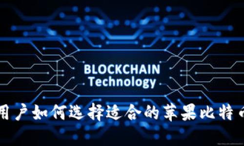 国内用户如何选择适合的苹果比特币钱包