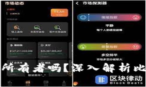 比特币钱包能查到所有者吗？深入解析比特币隐私与追溯性